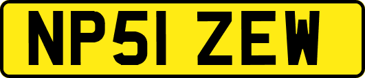 NP51ZEW