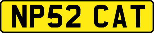 NP52CAT