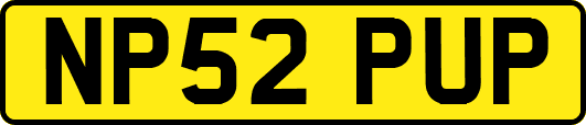 NP52PUP