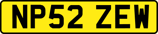NP52ZEW