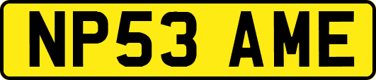 NP53AME