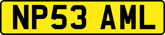 NP53AML