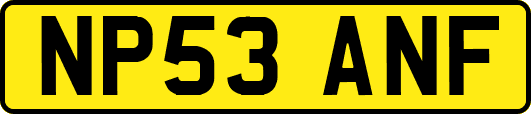 NP53ANF