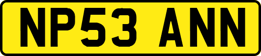 NP53ANN