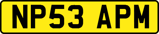 NP53APM
