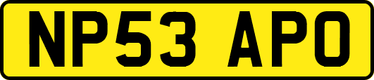 NP53APO
