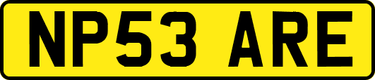 NP53ARE