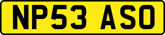 NP53ASO