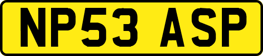 NP53ASP