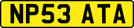 NP53ATA