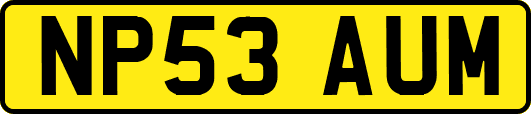 NP53AUM