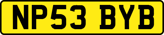 NP53BYB