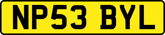 NP53BYL