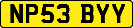 NP53BYY