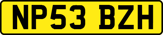 NP53BZH
