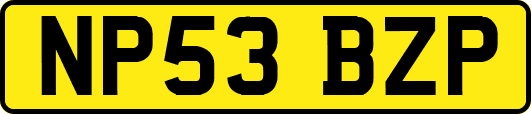 NP53BZP