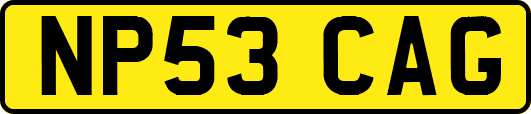 NP53CAG