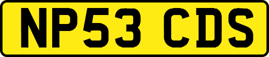 NP53CDS