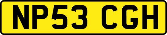 NP53CGH