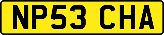NP53CHA