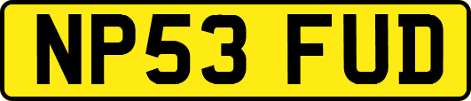 NP53FUD