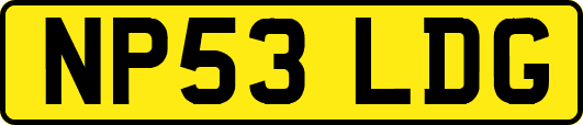 NP53LDG