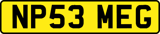 NP53MEG