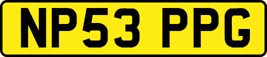 NP53PPG