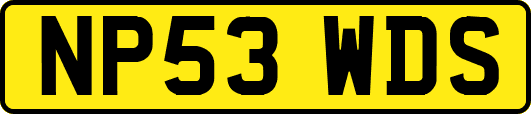 NP53WDS