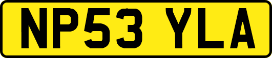 NP53YLA