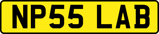 NP55LAB