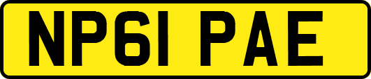 NP61PAE