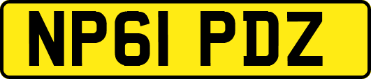 NP61PDZ