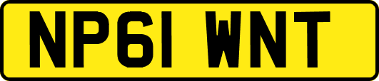 NP61WNT