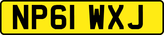 NP61WXJ