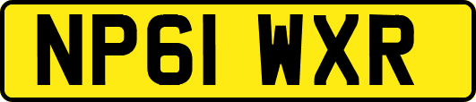 NP61WXR