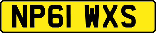 NP61WXS