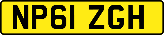 NP61ZGH