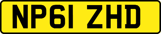 NP61ZHD