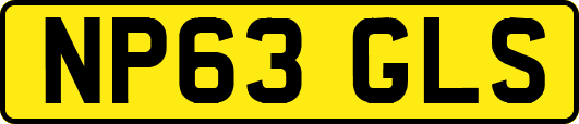 NP63GLS