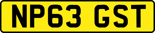 NP63GST