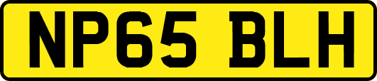 NP65BLH