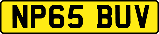 NP65BUV