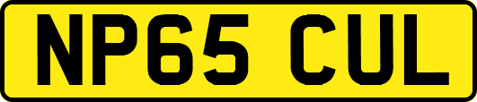 NP65CUL