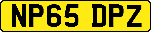 NP65DPZ