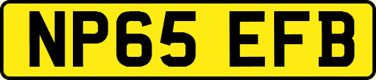 NP65EFB