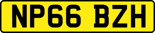 NP66BZH