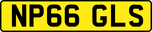 NP66GLS