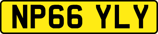 NP66YLY