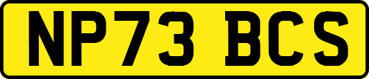 NP73BCS